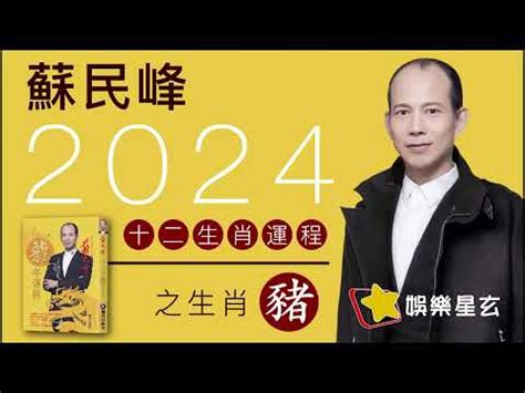 2024年生肖豬